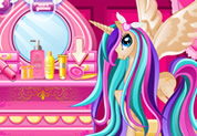 Pony Princess Hair Care